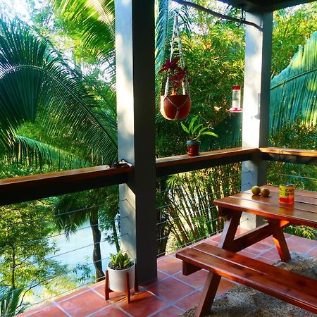 Riverhill Hideaway Monkey Fall Kültér fotó