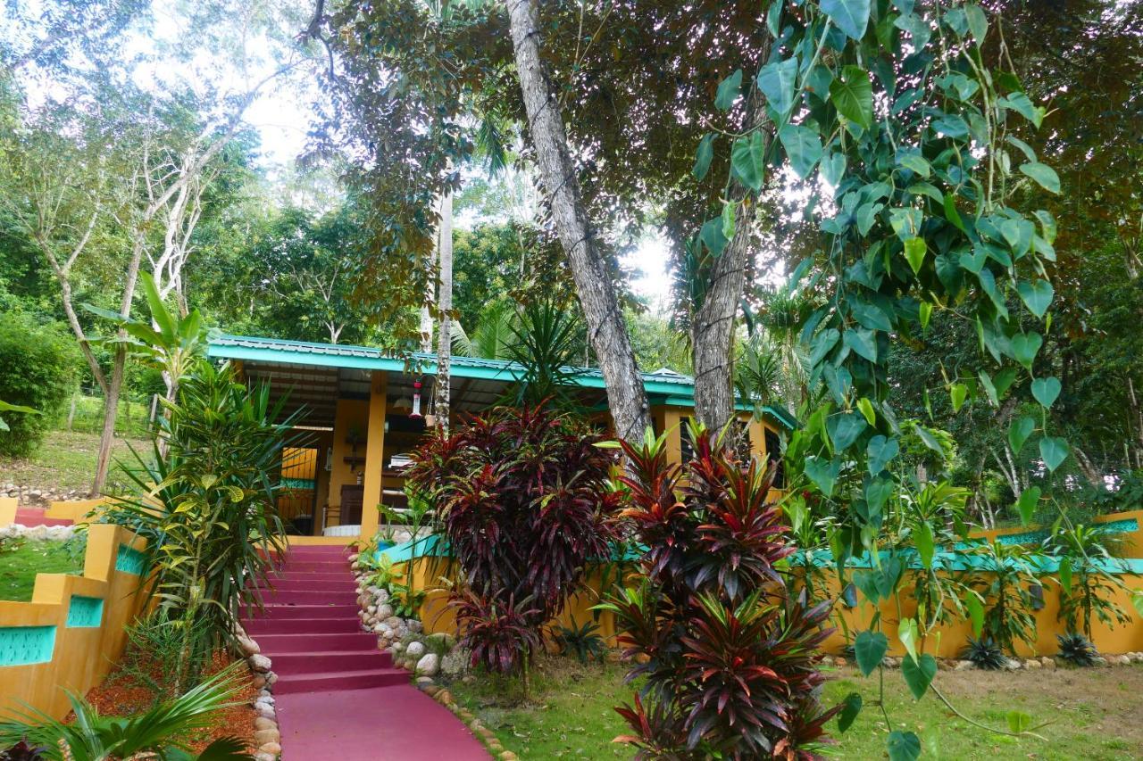 Riverhill Hideaway Monkey Fall Kültér fotó